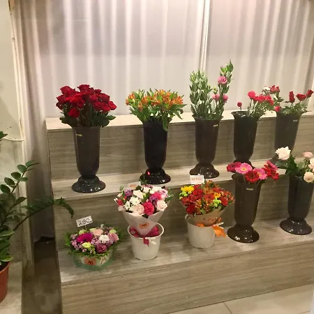 Thai Minh Guesthouse